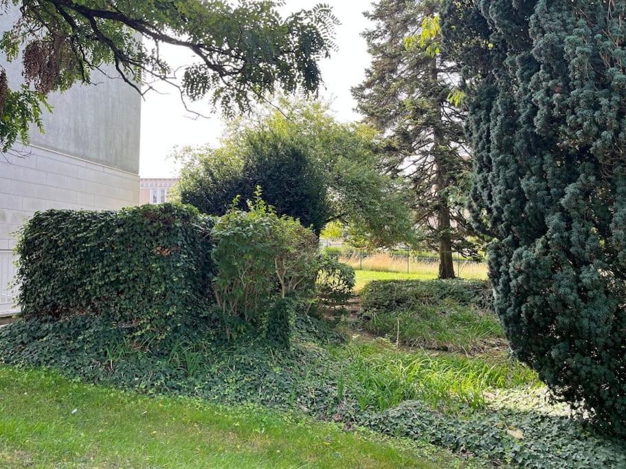 Gites Maisons De Champagnes Reims Exterior foto